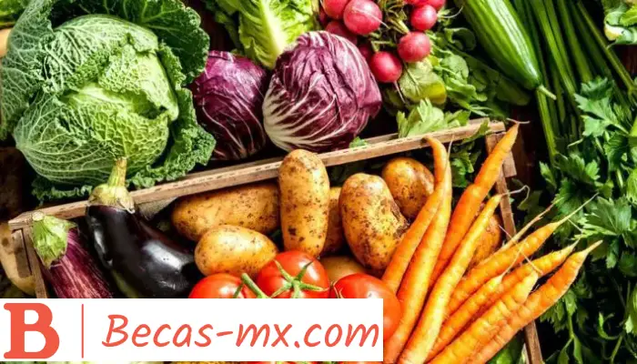 Curso de seguridad agroalimentaria | Descubre cuál es la modalidad de estudio implementada por este Curso