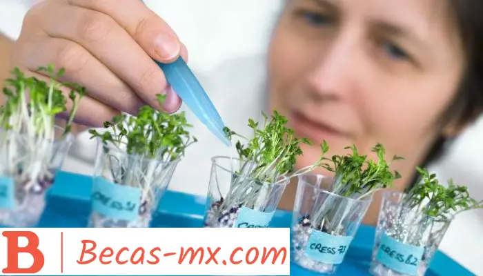 Innovación Agroalimentaria | ¡Descubre cuanto tiempo de duración tiene este curso y en donde lo puedes estudiar!