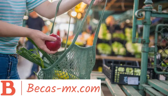 Educación financiera y consumo responsable en México | Ingresa y descubre todo lo relacionado con este tema