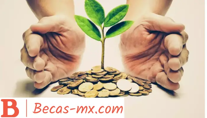Educación financiera y desarrollo sustentable: promoviendo la responsabilidad en México