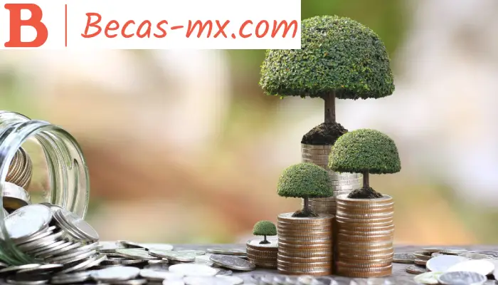 Educación financiera y responsabilidad ambiental: hacia una economía sustentable en México