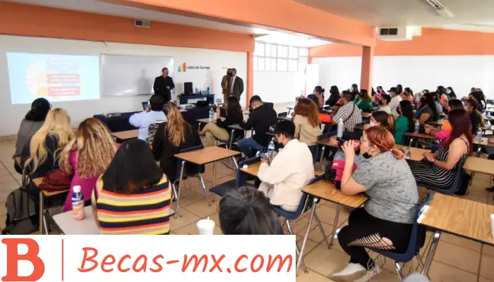Universidades públicas en Cancún | ¡Conoce los Programas Disponibles!