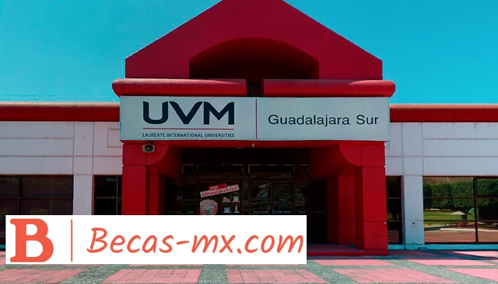 UVM Sur: La mejor opción educativa en Guadalajara para tu futuro