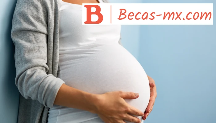 Apoyo del Gobierno para Mujeres Embarazadas en México: Beneficios y Programas Esenciales