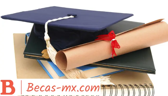 Becas Universitarias | Descubre cómo puedes obtener esta ayuda para realizar tus estudios universitarios