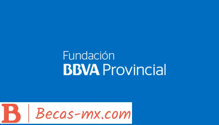 Becas Fundación BBVA | ¡Aprovecha La Oportunidad!