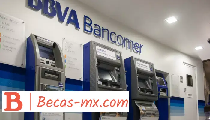 Tipos de Crédito del Banco BBVA 2024: Requisitos y Opciones Disponibles