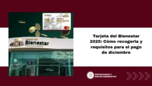 Tarjeta del Bienestar 2025: Cómo recogerla y requisitos para el pago de diciembre