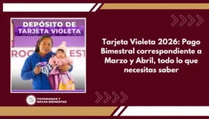 Tarjeta Violeta 2026: Pago Bimestral correspondiente a Marzo y Abril, todo lo que necesitas saber