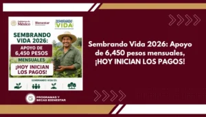 Sembrando Vida 2026: Apoyo de 6,450 pesos mensuales, ¡HOY INICIAN LOS PAGOS!